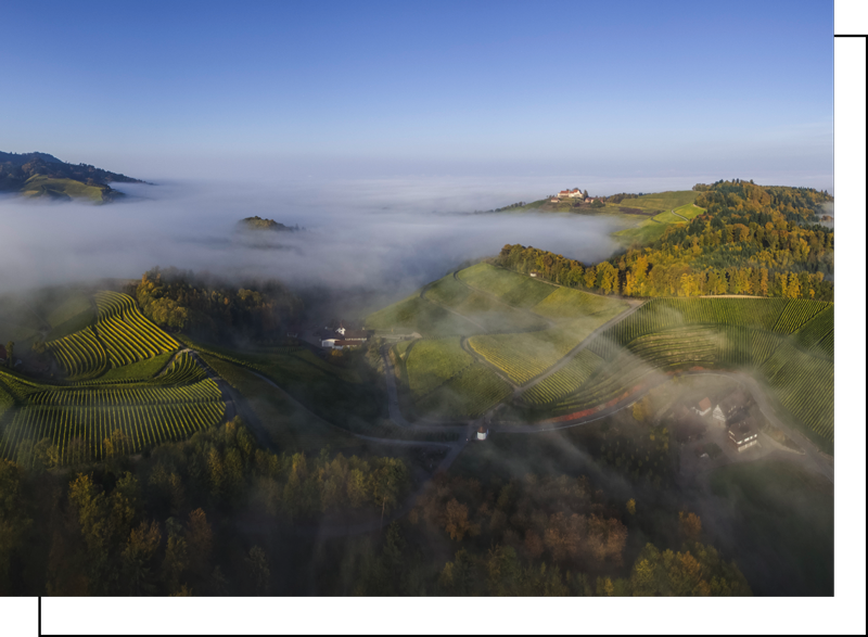 Natur im Renchtal | Nachhaltigkeit | RUCH NOVAPLAST GmbH in Oberkirch